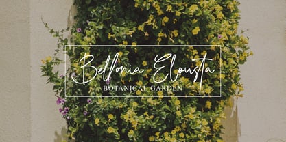 Hutellan Signature Font Poster 3