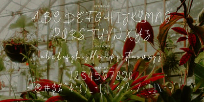 Hutellan Signature Font Poster 8