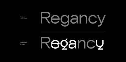 Readex Font Poster 4
