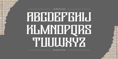 Megaz Vintage Font Poster 9