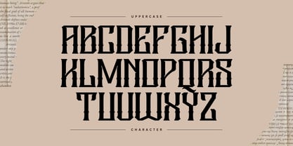 Megaz Vintage Font Poster 8