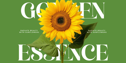 Manile Vintage Font Poster 9