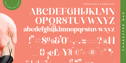 Manile Vintage Font Poster 14