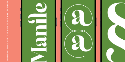 Manile Vintage Font Poster 8