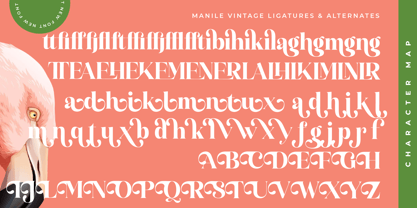 Manile Vintage Font Poster 15