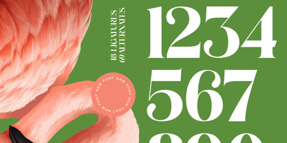 Manile Vintage Font Poster 13