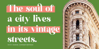 Manile Vintage Font Poster 3