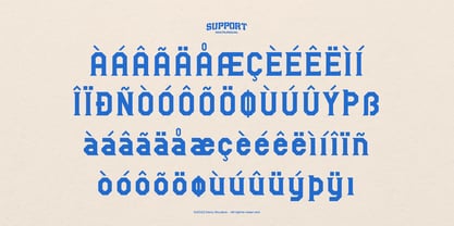Rookie Assist Font Poster 11
