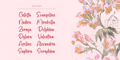 Selynadia Font Poster 6