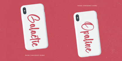 Selynadia Font Poster 2