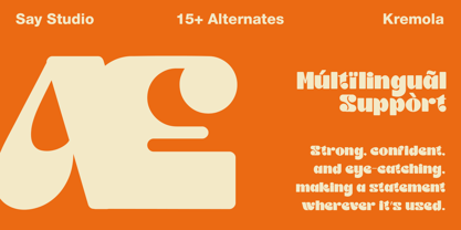 Kremola Outline Font Poster 10