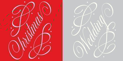 Actalle Font Poster 3