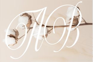 Actalle Font Poster 6