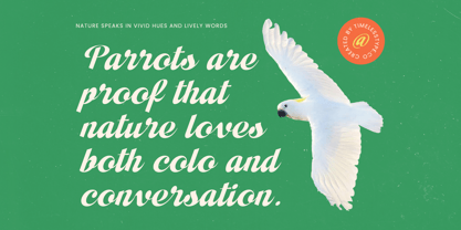 Adjust Ranch Font Poster 2