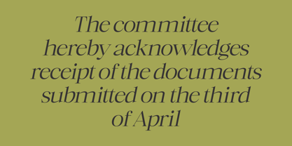 Mckins Font Poster 7