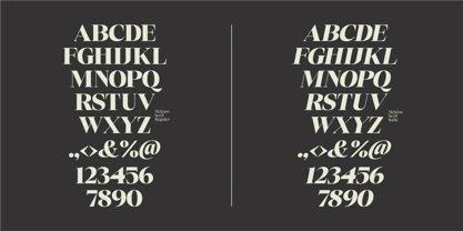 Mckins Font Poster 6