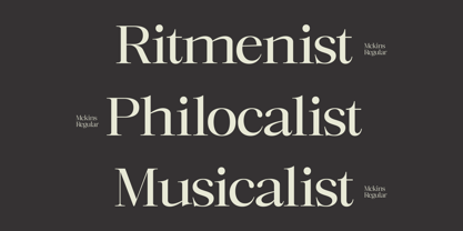 Mckins Font Poster 2