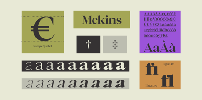 Mckins Font Poster 5