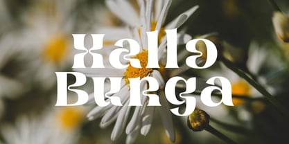 Brangkos Font Poster 4