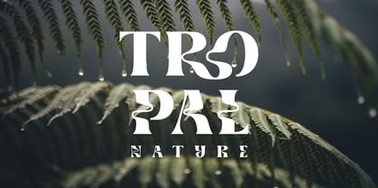 Brangkos Font Poster 13