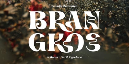 Brangkos Font Poster 1