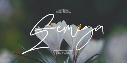 Gemiga Signature Font Poster 1