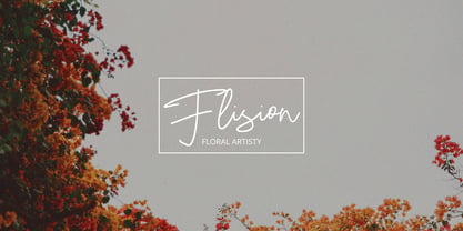 Gemiga Signature Font Poster 4