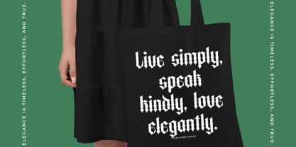 Merdlins Font Poster 3