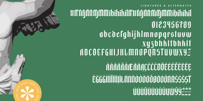 Merdlins Font Poster 14