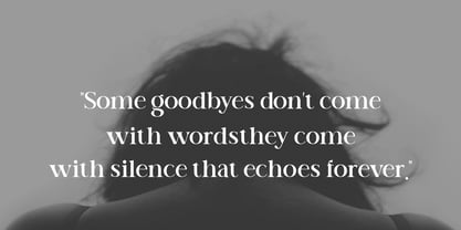 Manifest Font Serif Font Poster 4