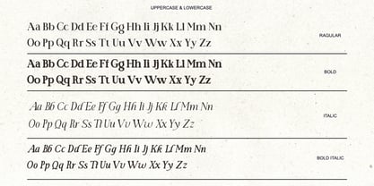 Manifest Font Serif Font Poster 8