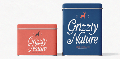 Amyround La Fonta Font Poster 8