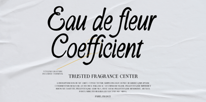 Amyround La Fonta Font Poster 2