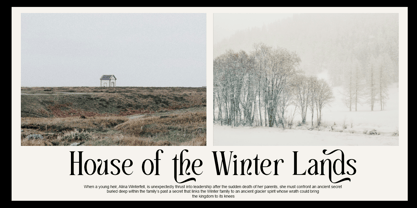 Carely Orches Font Poster 8