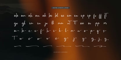 Camerelia Family Font Poster 12