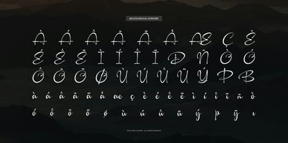 Camerelia Family Font Poster 11