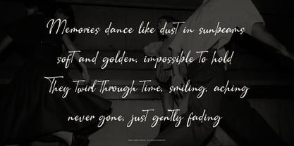 Camerelia Family Font Poster 2