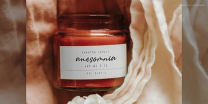 Camerelia Family Font Poster 9