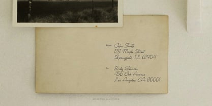 Camerelia Family Font Poster 7