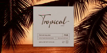 Camerelia Family Font Poster 5