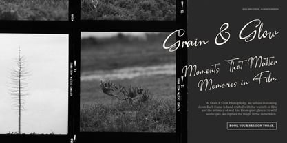 Camerelia Family Font Poster 4