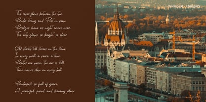 Camerelia Family Font Poster 3