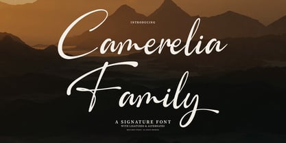 Camerelia Family Font Poster 1