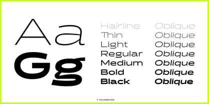 Halogen Pro Font Poster 6