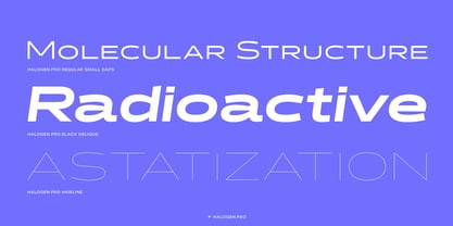Halogen Pro Font Poster 2