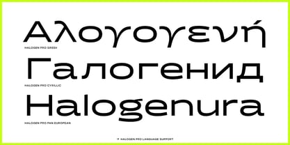 Halogen Pro Font Poster 3