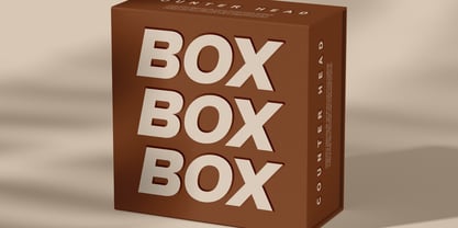 Pripun Font Poster 9