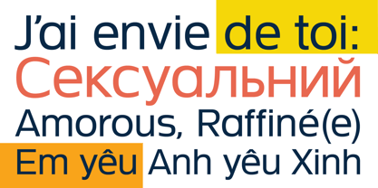 Neue Theorem Font Poster 6