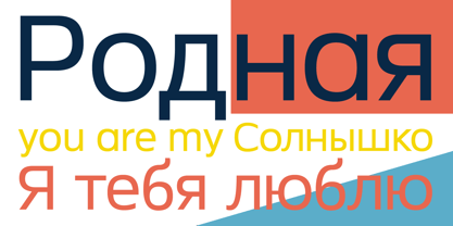 Neue Theorem Font Poster 10