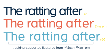 Neue Theorem Font Poster 13